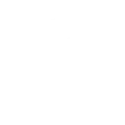 Haas F1 Team